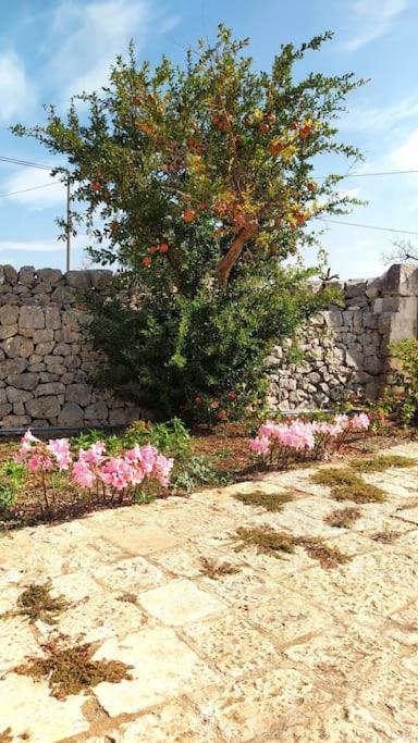 Вілла Trullo Mami Путіньяно Екстер'єр фото